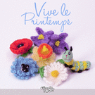 Fleurs color&eacute;es pour c&eacute;l&eacute;brer le printemps